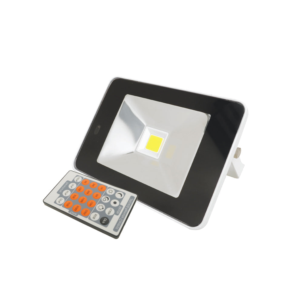 EconLED Domestic Sensor Floodlight - 20W