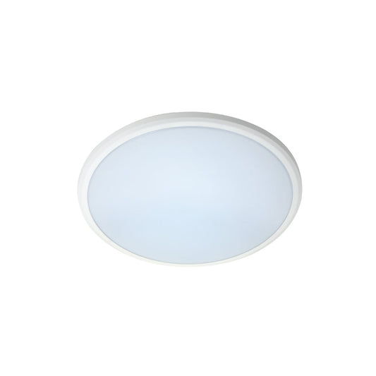 LED Ceiling Button | 20W | EV20