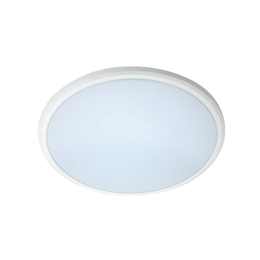 LED Ceiling Button | 28W | EV28