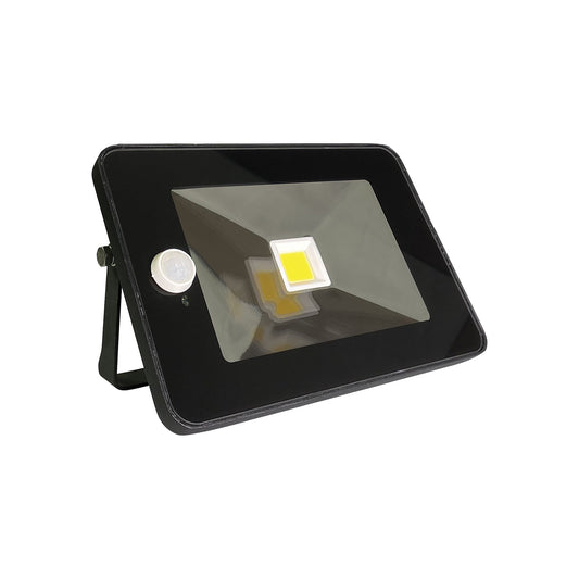EconLED - PIR Sensor Floodlight - 30W