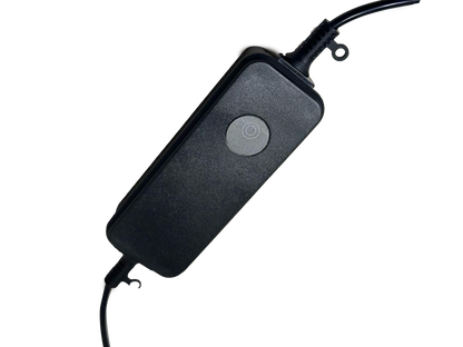 Festoon String Lights LED