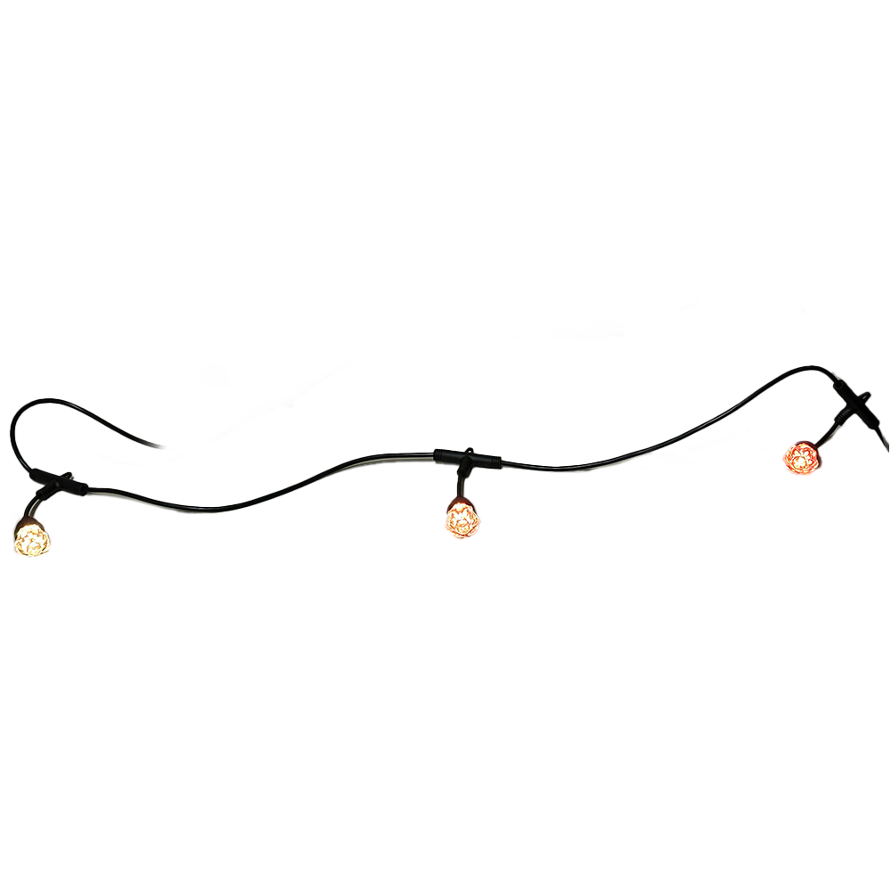 Festoon String Lights LED