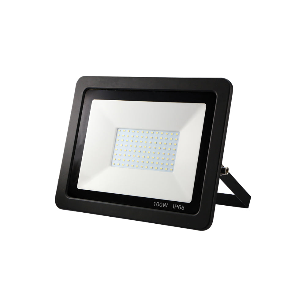 EconLED - Floodlight - 100W
