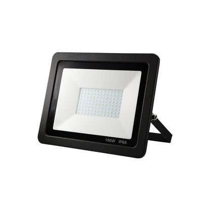 EconLED - Floodlight - 100W