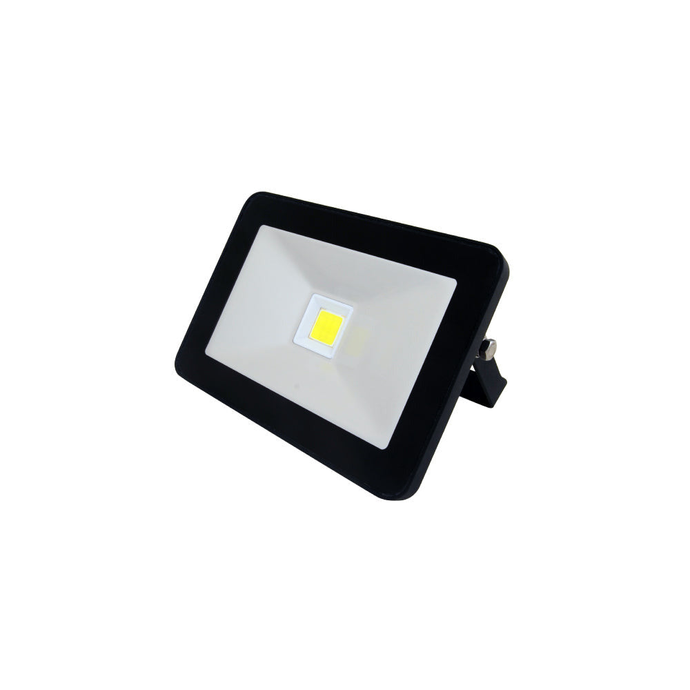Domestic Non Sensor Floodlight - 10W - EconLED