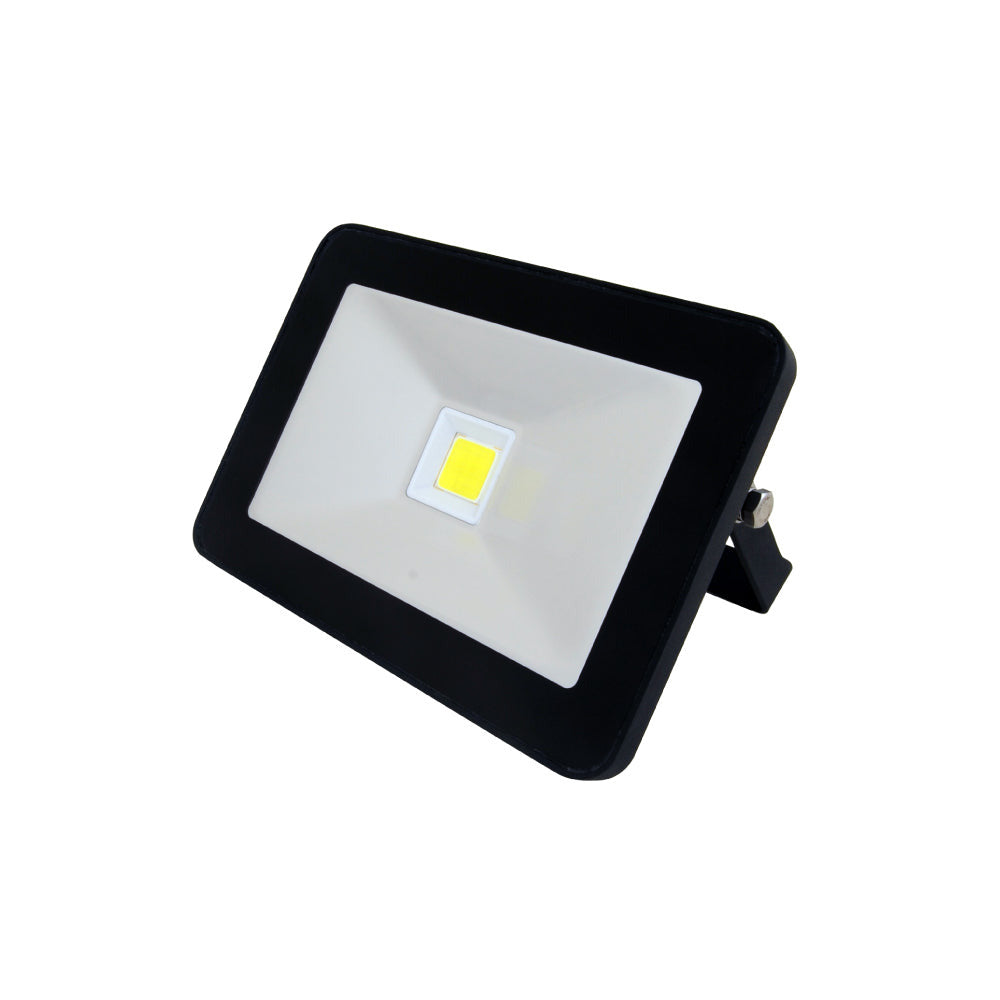 Domestic Non Sensor Floodlight - 20W - EconLED