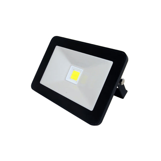 Domestic Non Sensor Floodlight - 20W - EconLED